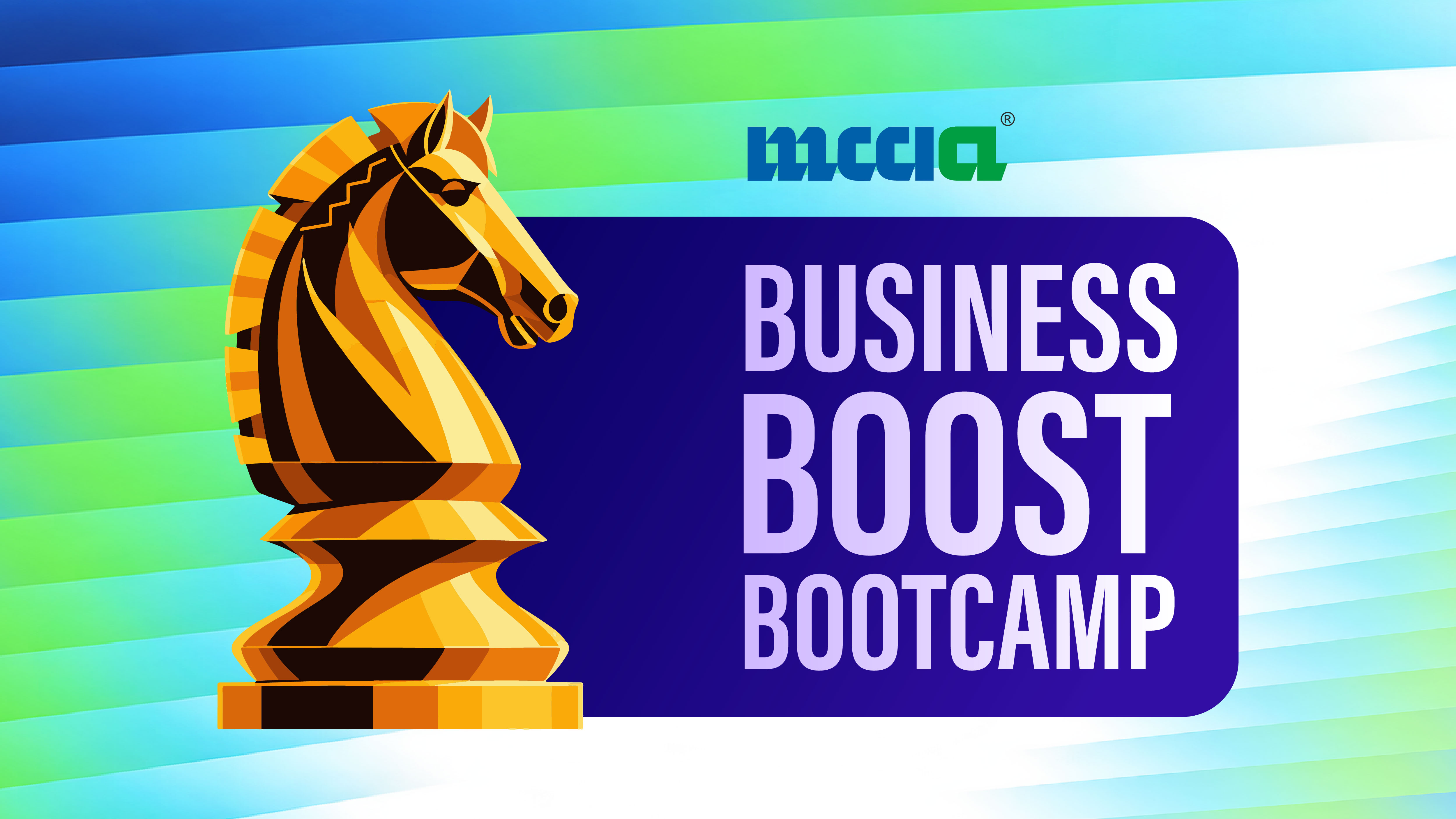 Certificate Course in Business Boost Bootcamp (8 Full day sessions)